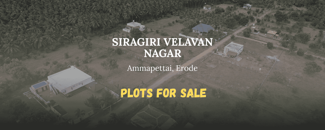 Development Site Layout